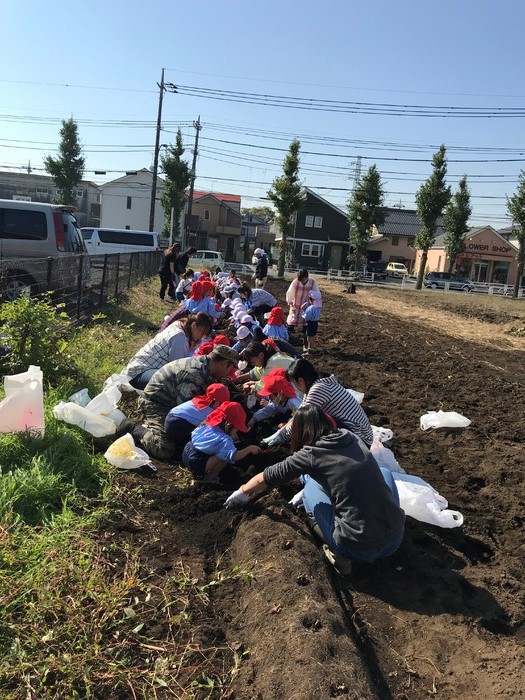 大きなお芋が出て来ますように 