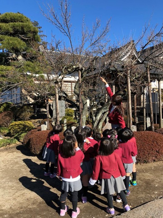 さくらさんたちも梅の花をみーつけた