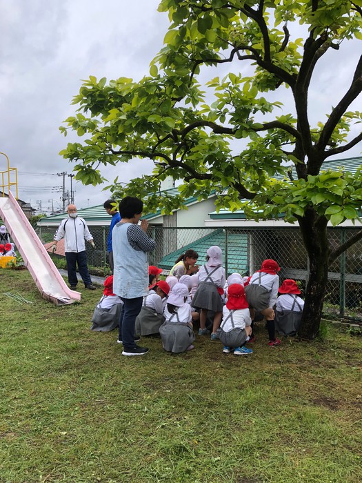 大きくなるように祈ってます 