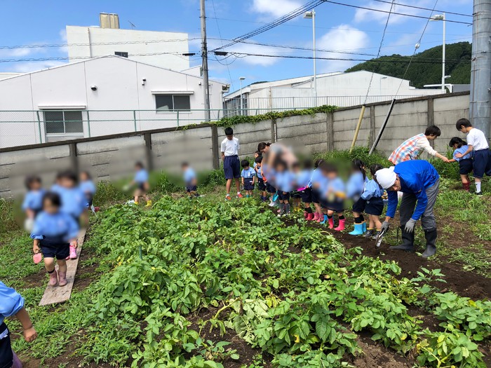 たくさんとれたよー??