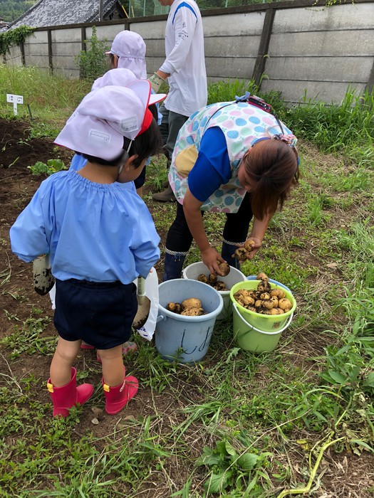 仕分け中