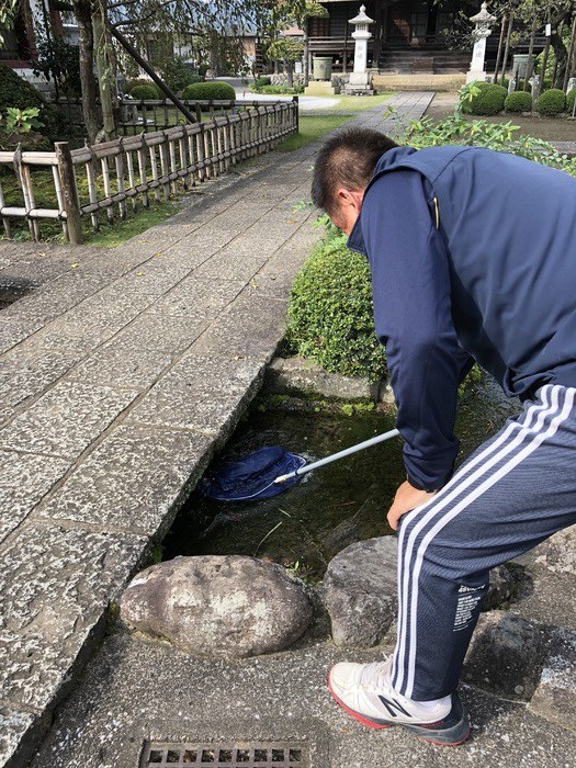 鯉大きすぎて網やぶれる 