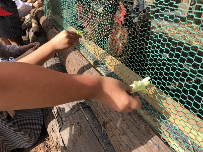 かわいいおててがたくさん 