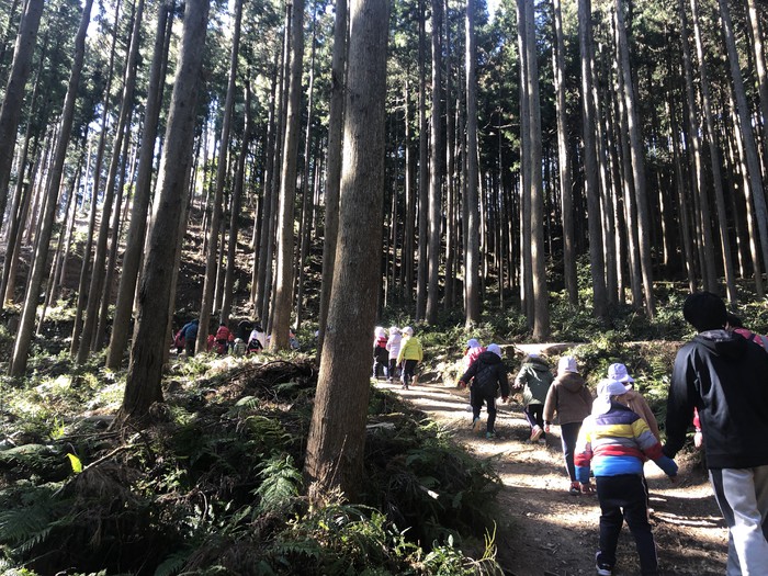 急な山道を歩く貴重な体験！