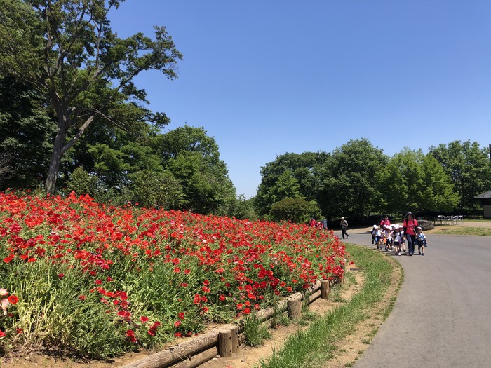 みんなで写真も撮りました(^^)