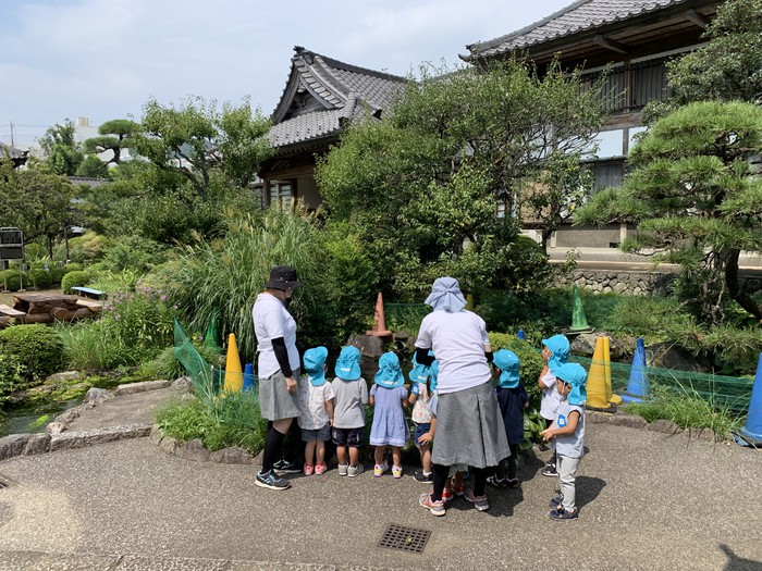 池の鯉にごはんをあげるのも楽しみな2歳児さん(^^)