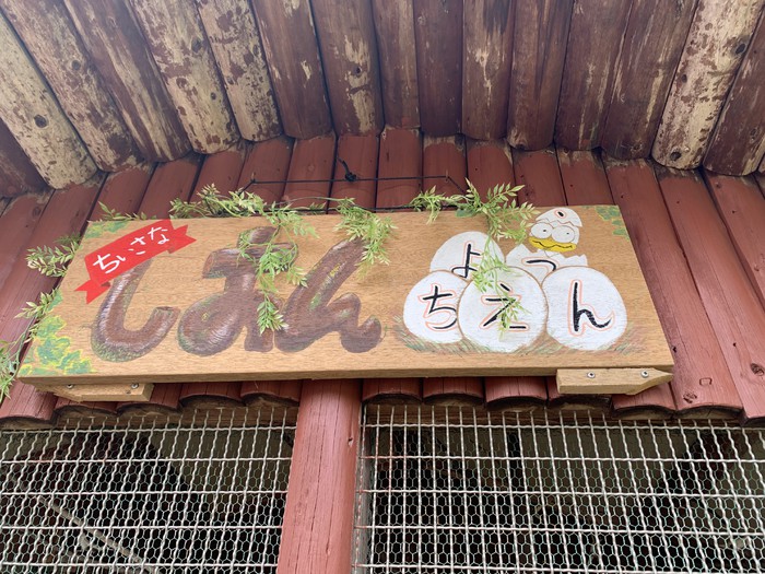 夏休みに作ってくれたジュウシマツ小屋の表札 