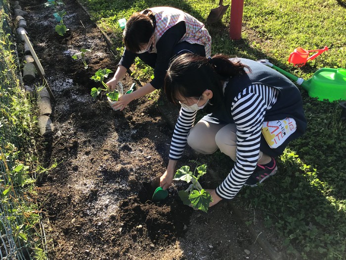 市川先生、小野村先生 