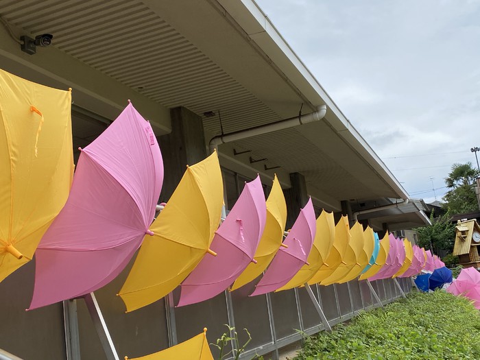 雨上がり、傘の花が咲きました??好きな風景です(^^)